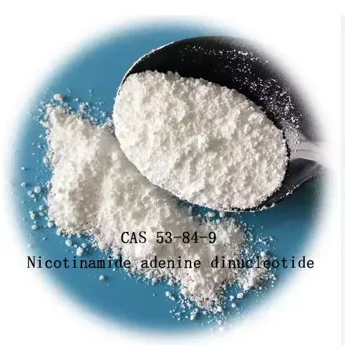 % 99 Nikotinamid Adenin Dinükleotid NAD Anti-Yaşlanma Anti-Cas 53-84-9