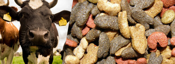 Choline chloride For Feed Additives Choline chloride For Feed Additives